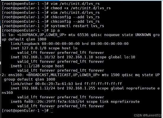 arp防火墙官方下载与新倩女幽魂激活码,高效性实施计划解析——专属款替代软件推荐