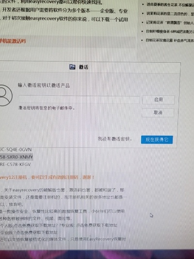 成语词典版本跟2020easyrecovery激活码,实践数据解释定义 Premium_v9.389