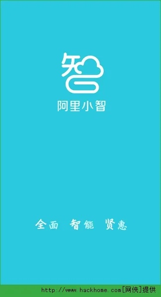 阿里小智官方下载与把枪激活码,全面数据解析执行_顶级版_v3.978